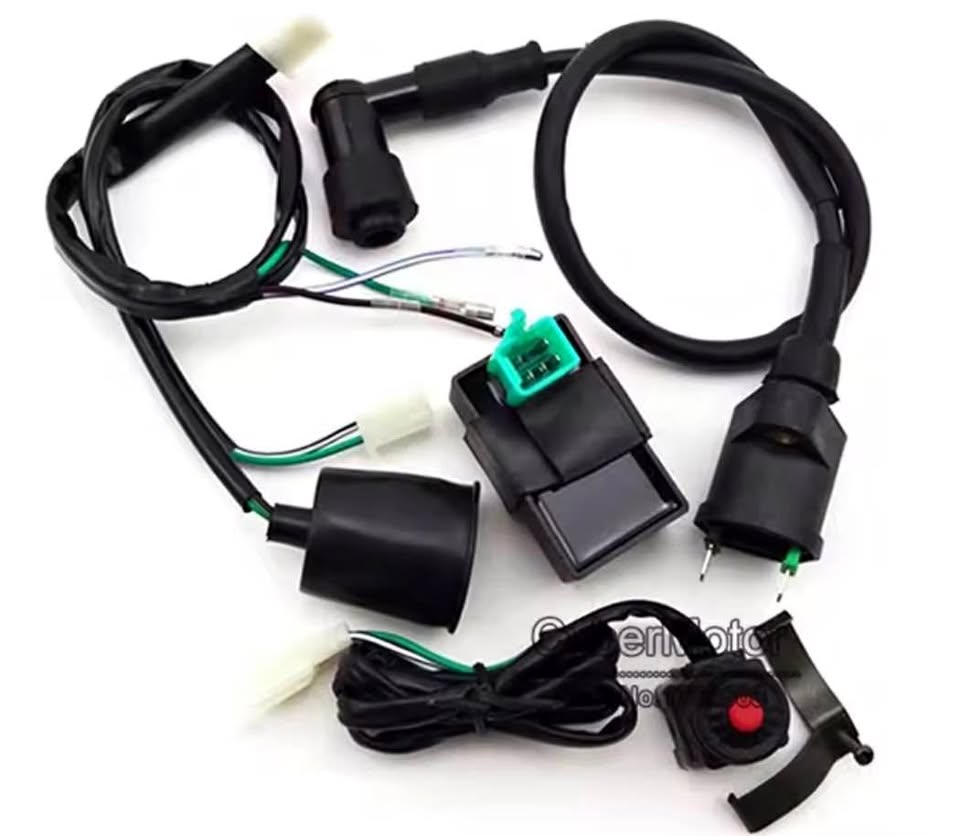 Pit Bike Complete Wiring Harness