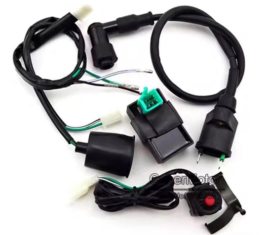Pit Bike Complete Wiring Harness